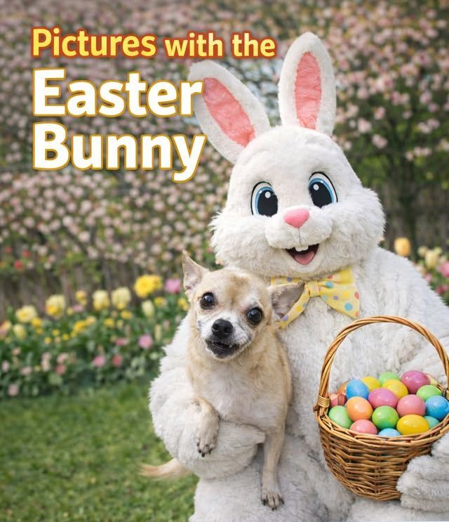 Come see the Easter Bunny at the Shelter!